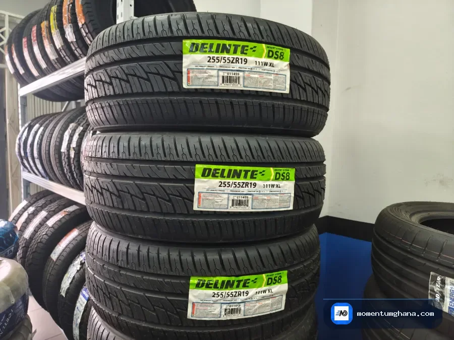 Delinte 255/55ZR19 Desert Storm DS8 Tyre - Confident SUV Performance image 2