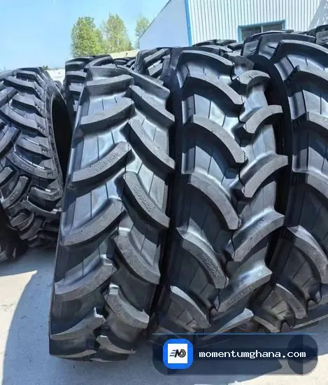 18.4-38 tyre image